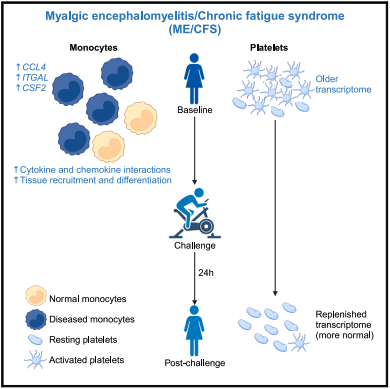Illustration highlighting the study's research findings.